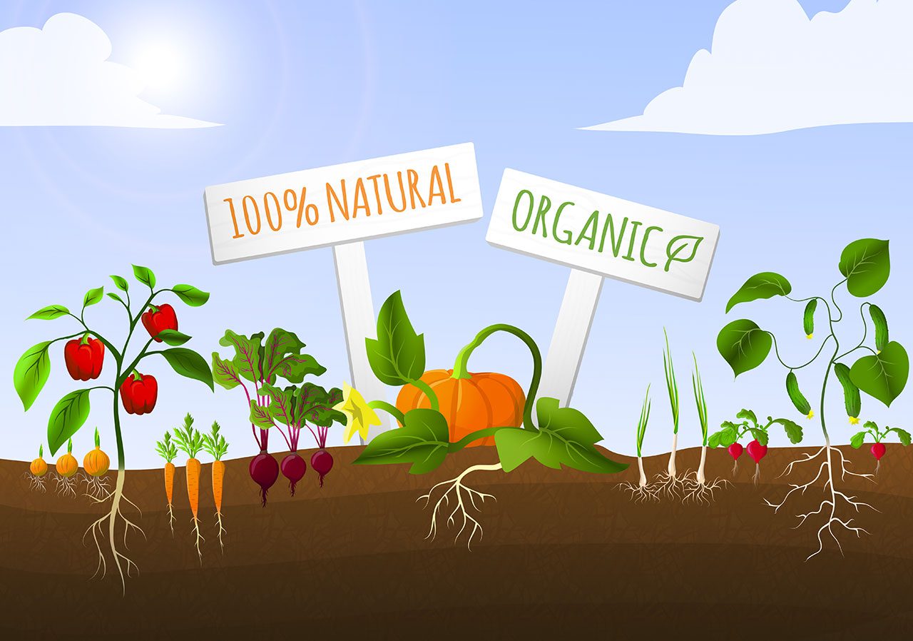 Prodotti per l'orto in provincia di Reggio Emilia