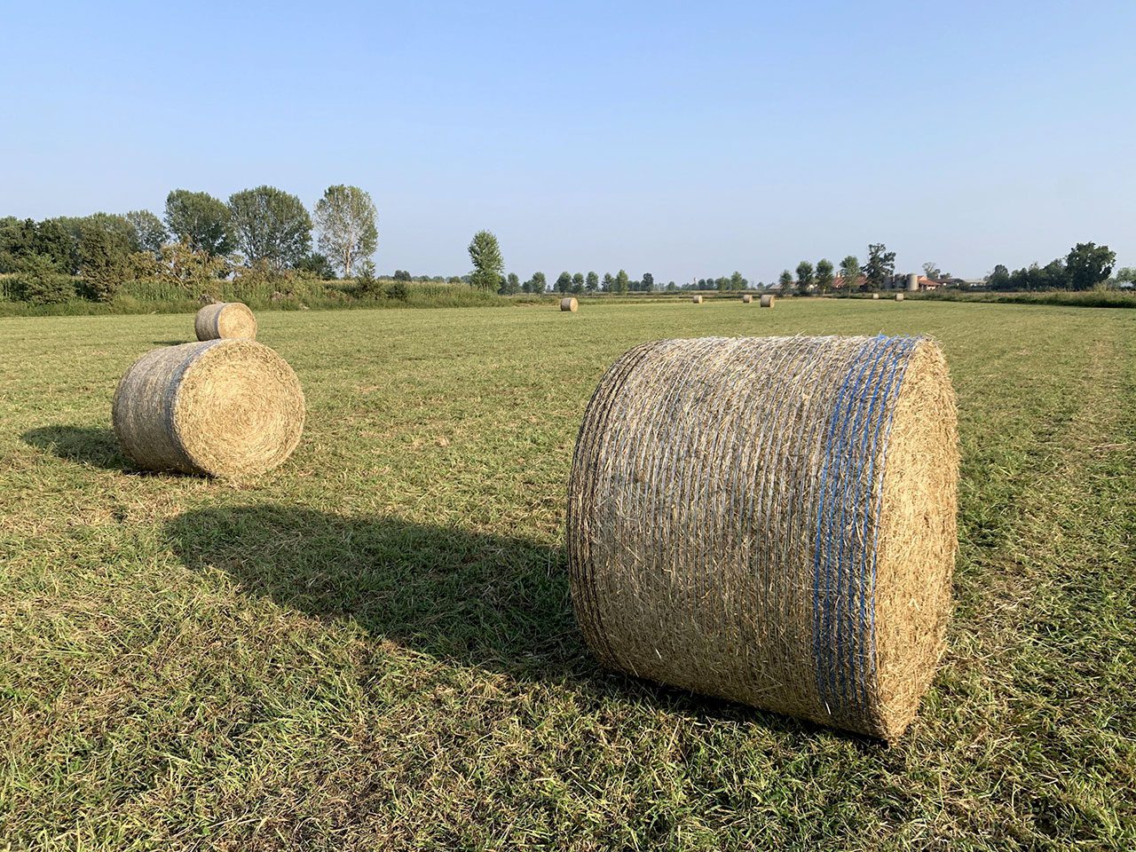 Reti e Spago da imballaggio