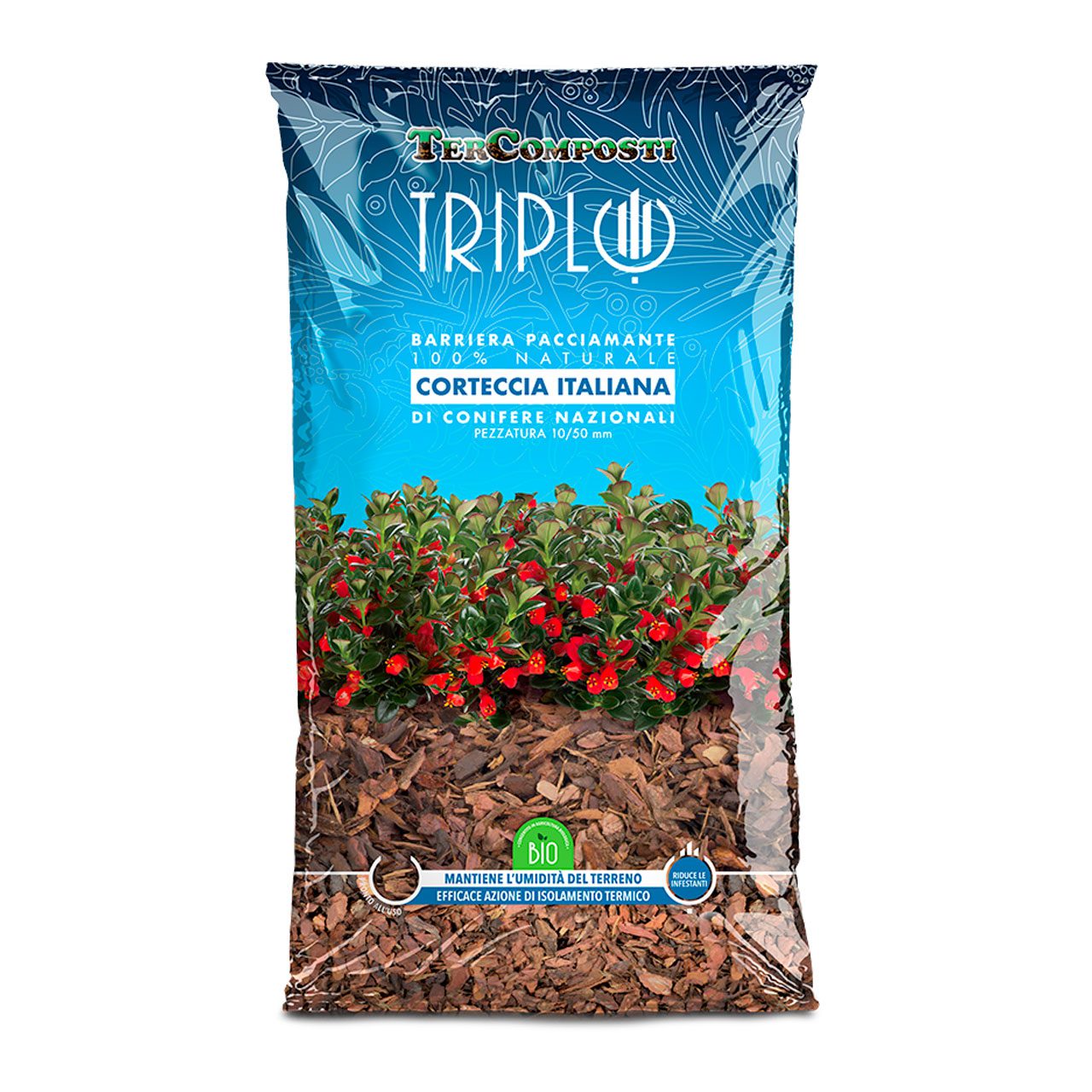 TRIPLO CORTECCIA ITALIANA