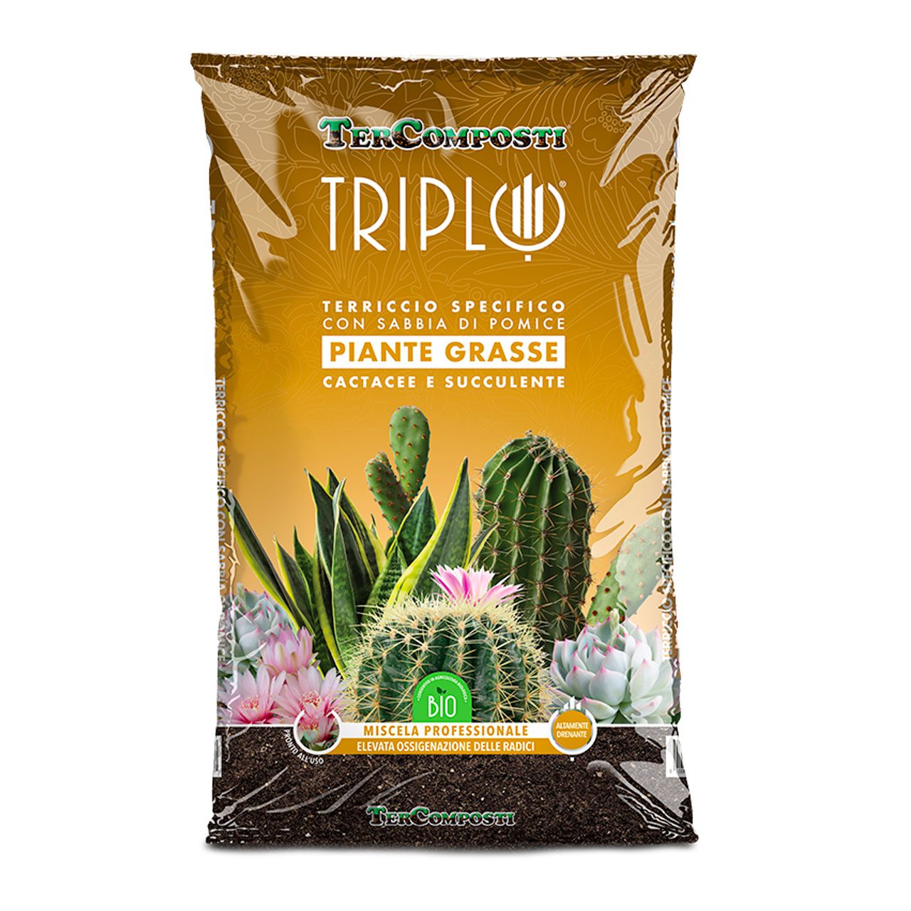 TRIPLO PIANTE GRASSE