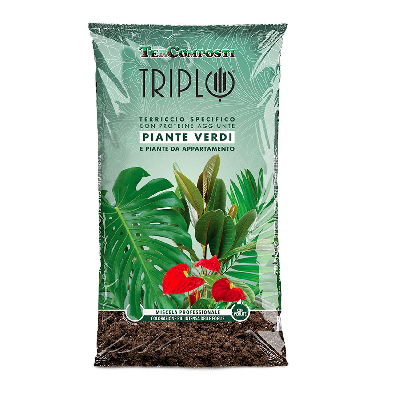TRIPLO PIANTE VERDI