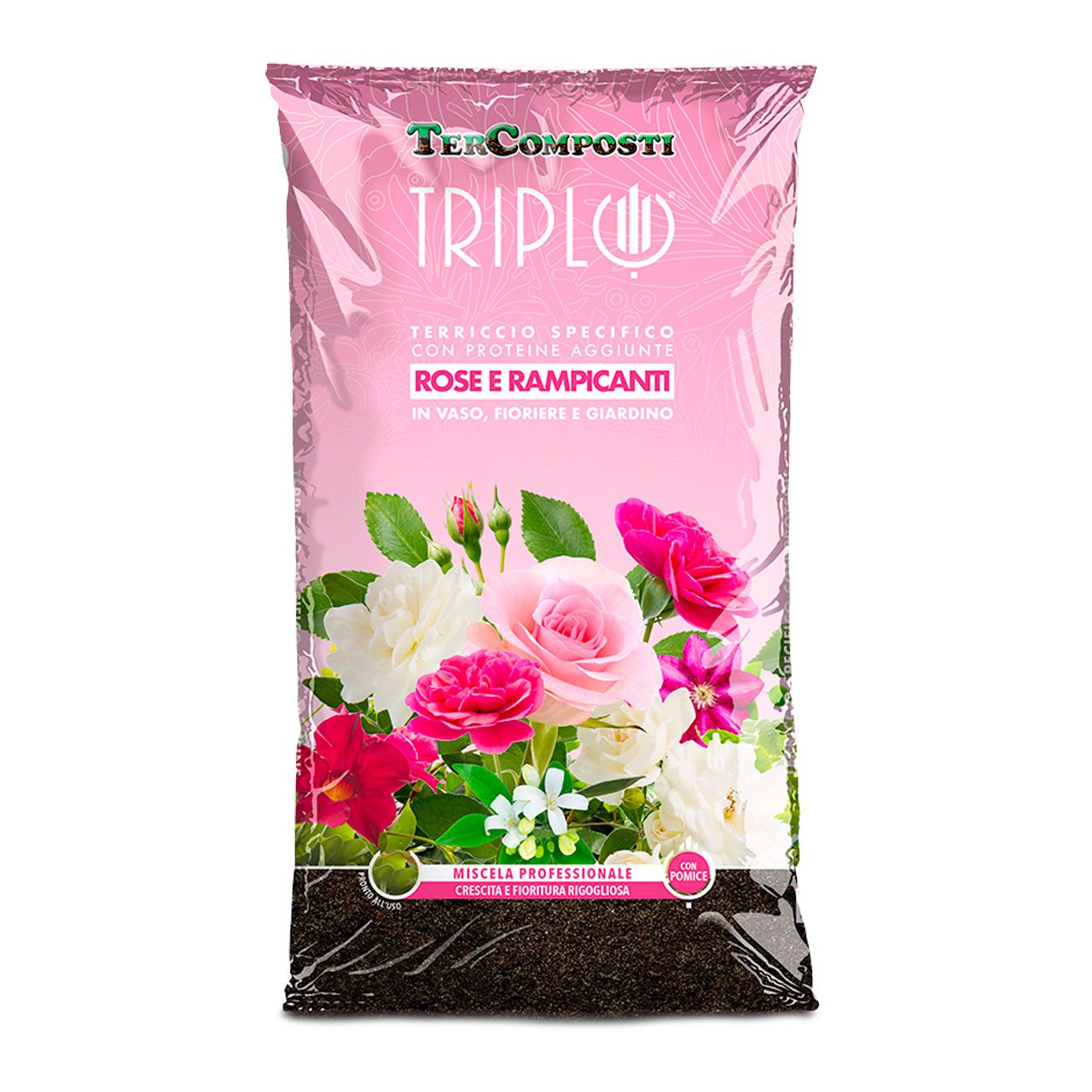 TRIPLO ROSE E RAMPICANTI