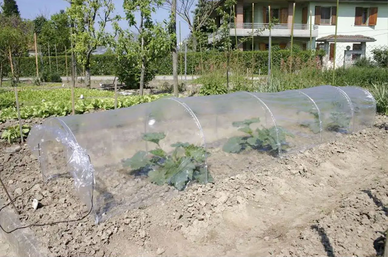 Kit tunnel a soffietto